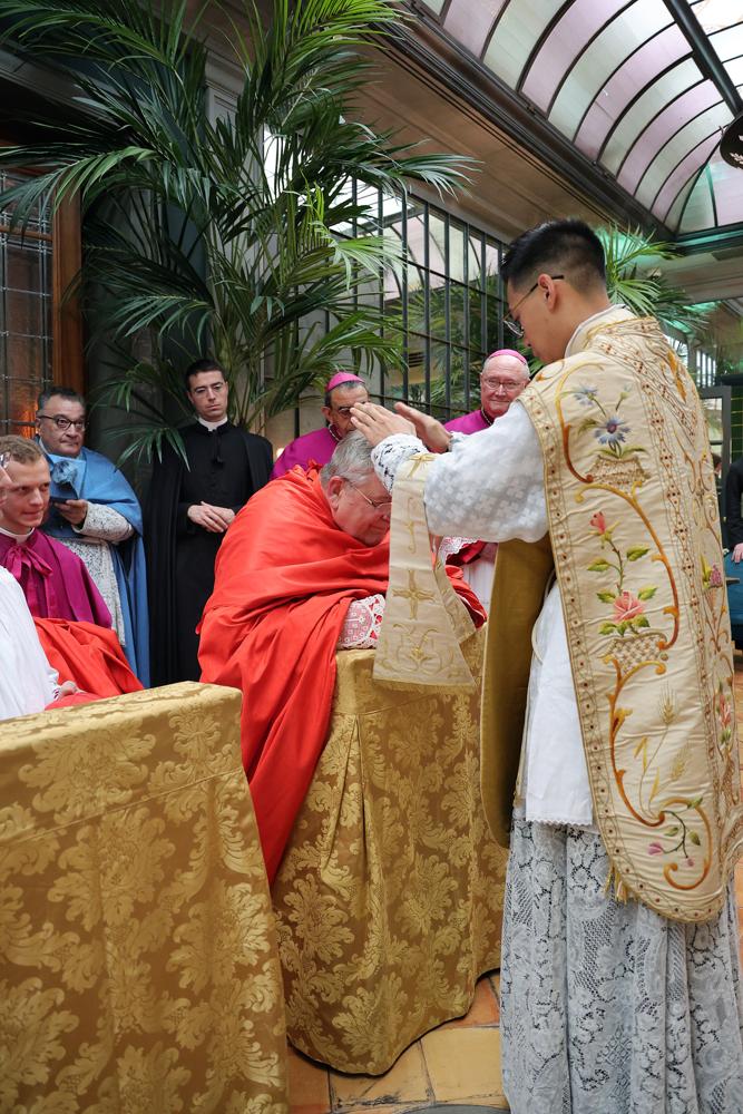 Le cardinal reçoit la première bénédiction des nouveaux prêtres