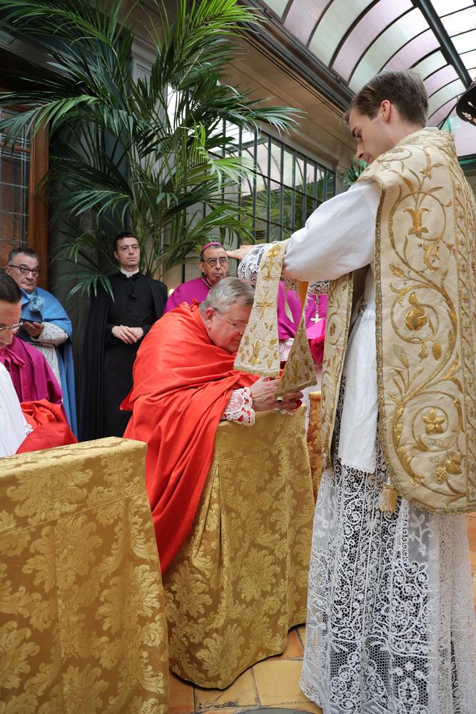 Le cardinal reçoit la première bénédiction des nouveaux prêtres