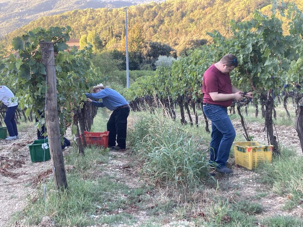 Les Premières Années dans les vignes du Séminaire