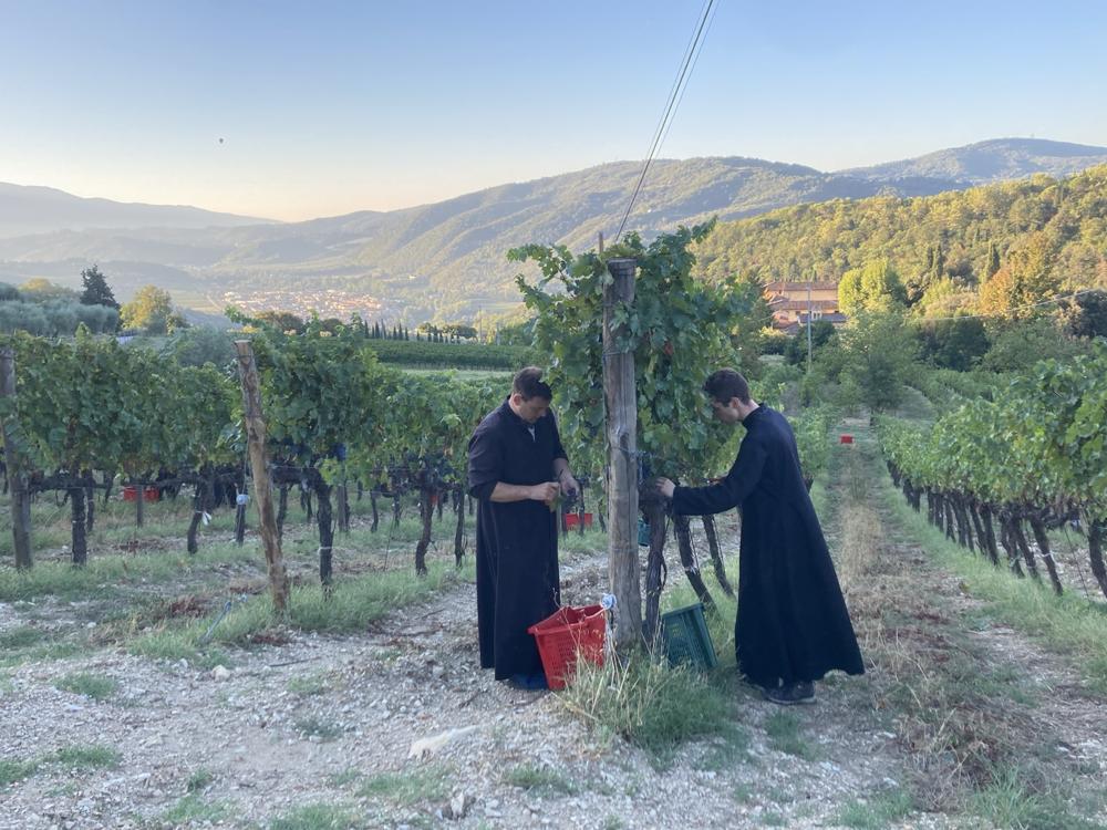 Les Séminaristes dans les vignes du Séminaire